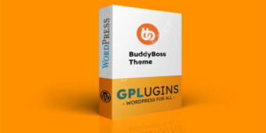 BuddyBoss Theme