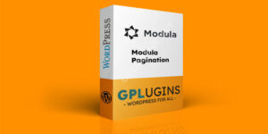 Modula Pagination