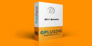 Divi Booster